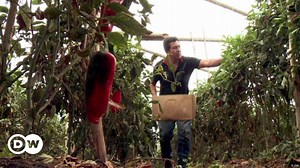 Microloans for farmers in Colombia