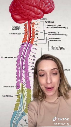 Understanding Spinal Blocks for C-Sections