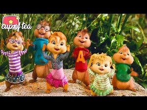 Chipmunks and Chipettes - Zoo