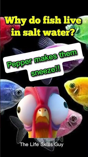 Fishy joke guaranteed to make you laugh out loud!! #funnyshort #humor