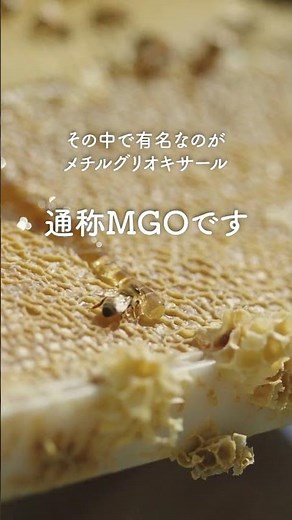 マヌカとはちみつの違い「抗菌成分」