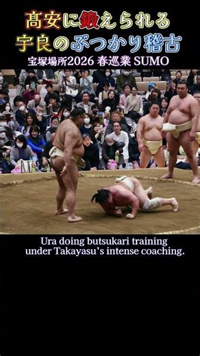 髙安に鍛えられる 宇良のぶつかり稽古❗『宝塚場所2026 春巡業 大相撲』 SUMO