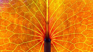 9 Beginner Tips For Editing Footage in Final Cut Pro X