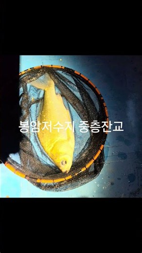 봉암저수지 중층잔교 바닦찍음 짬낚