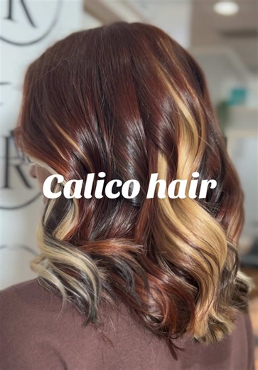 Get Stunning Calico Hair: A Step-by-Step Experience