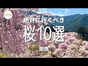 Top 10 cherry blossom spots in Japan chosen by travel professionals (Kansai)