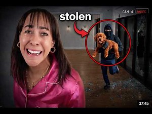 SOMEONE STOLE MY DOG!