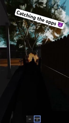 Game name: Realistic Hood Testing