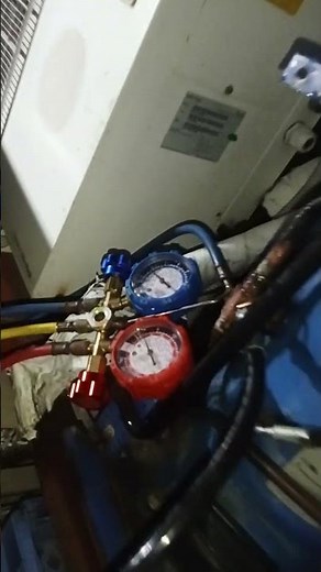 reprocess walk in freezer