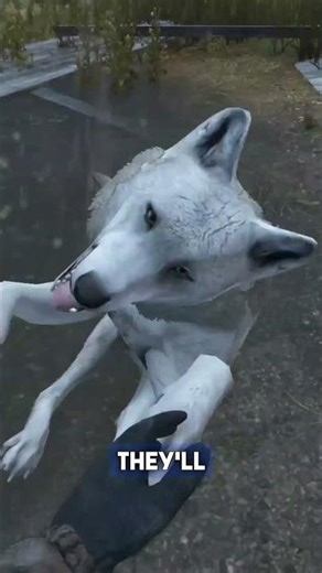 Wolves Can’t Touch You If You Do THIS in DayZ 🐺