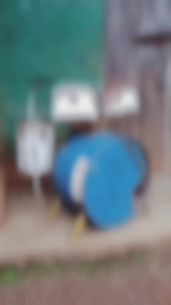 BMG BAND (@bmgband2)’s videos with original sound - BMG BAND