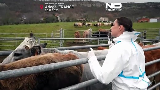 Francia despliega las Fuerzas Armadas contra un brote de enfermedad bovina