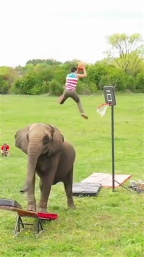 Best Like a Boss Compilation Short1 #hilariousfails #funny #memes #fails