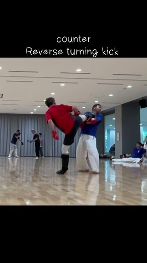 【counter】Reverse turning kick カウンターの後ろ回し蹴り。 2歩引きつけて放つのが統計的によく入る。 #tkd #taekwondo #後ろ回し蹴り