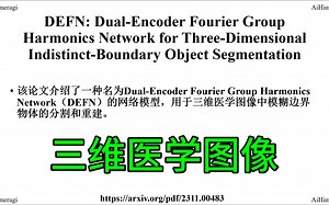 三维医学图像分割和重建 | DEFN