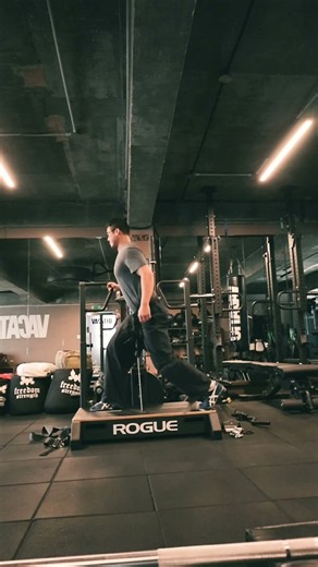 ROGUE AIR RHINO — How It Feels in Training