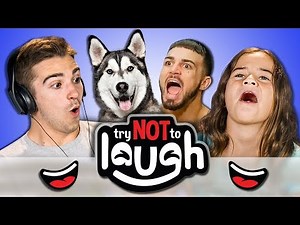 Try To Watch This Without Laughing or Grinning #58 (REACT)