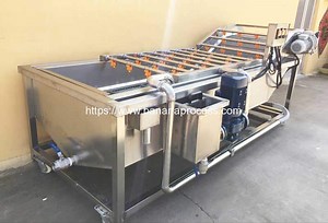 Automatic Green Banana Air Bubble Washing Machine | Plantain Banana Processing Machine Manufacturer and Supplier