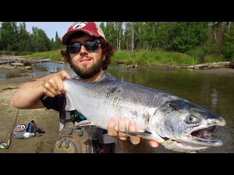 Willow Creek Salmon Fishing || Fly Fishing in ALASKA