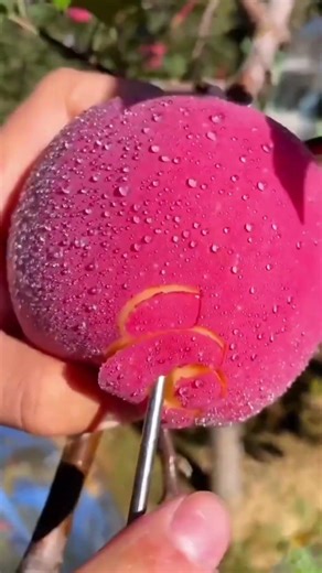 He had 24 hours to live… and no one expected THIS.”#24HoursChallenge #WhatHappensNext #MindBlown