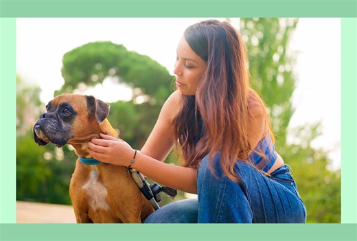 15 best dog breeds for first-time owners