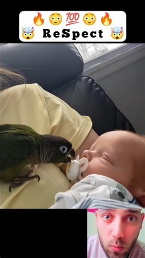 Funny and Cute Baby 😳😃😍 #babies #baby #funny