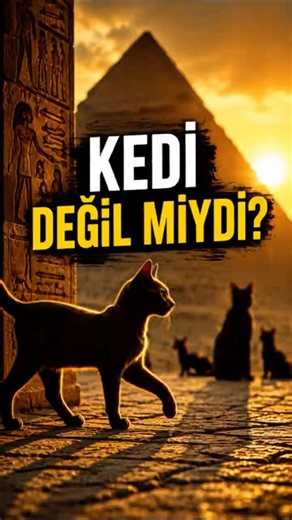 Tarihteki İlk Evcil Hayvan Kedi Değil Miydi?