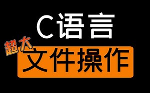 C语言文件操作：超大型文件操作