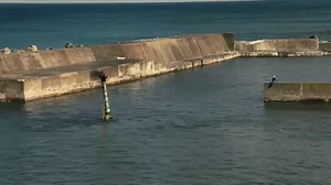 1.5K views · 4.7K reactions | Komatsu D155 W underwater bulldozer | Mining Mayhem | Facebook