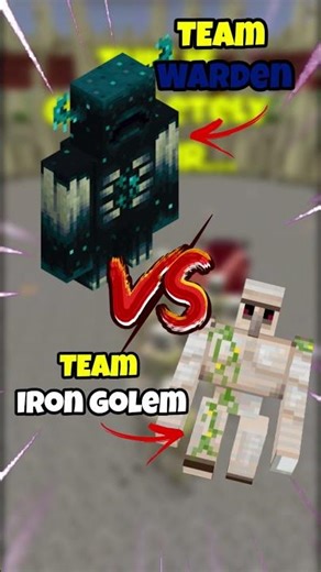 Warden vs Iron Golem Army – The End Was INSANE… 💥🔥