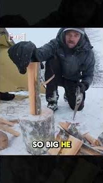 Escaping a blizzard and setting up a tent in desperation #build #building #snow #campings #bushcraft