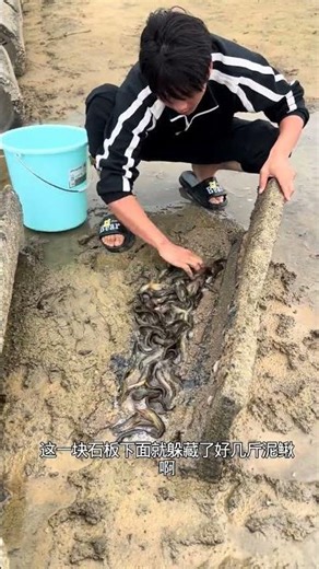 Uncover the Secret to Cooking Perfection in Just 3 Steps