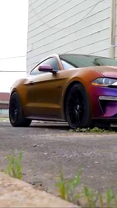 Is boost always the answer? 😌 . S550 Mustang geared up with a fresh Forgestar F14 Drag Pack setup with Beadlocks! . > To learn more, visit: >> https://fal.cn/3pOpr . . __________________________________________________________ #Forgestar | #ForgestarWheels | #ForgestarF14Beadlock | #RotaryFormed | Forgestar