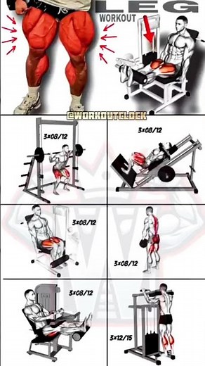 Clear & Perfect Leg Workout 🔥 | Train Legs the Right Way