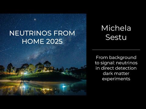 Michela Sestu - From background to signal: neutrinos in direct detection dark matter experiments