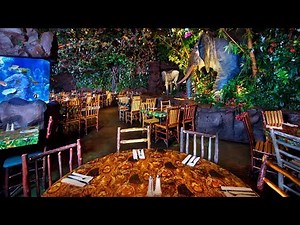 [4K] Rainforest Cafe - Disney's Animal Kingdom