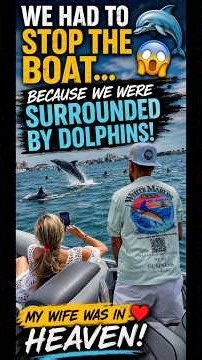 🚨 We Had to STOP the Boat… Dolphins Surrounded Us! 🐬🤯