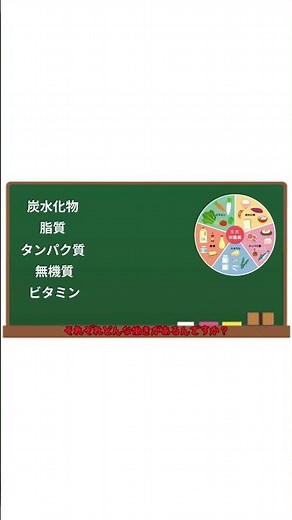 5大栄養素について解説！（食生活パート1）