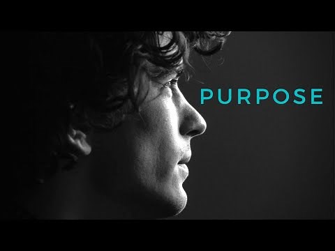 Finding Purpose at Work: Career Motivation Video