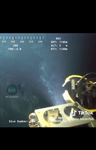 Especies Extrañas del Abismo: Un Viaje al Océano Profundo