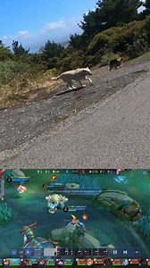 Ooopss joke lang💀 | SUPER CARLO