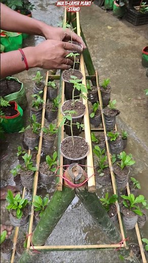 🌱 Best Space Saving Gardening Idea | DIY Bamboo Plant Stand #shorts #gardening #verticalgarden #diy