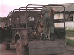 Military Police In The Vietnam War