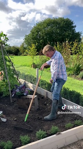 David Domoney on TikTok