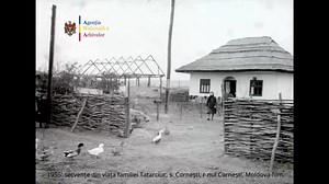 247K views · 1.8K reactions | VIDEO 1955: secvențe din viața familiei...