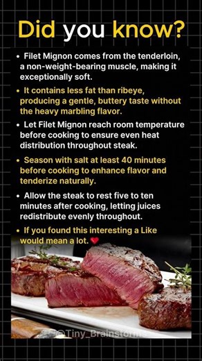 Why Filet Mignon Melts in Your Mouth
