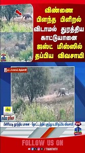 krishnagiri | wildelephant | farme