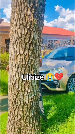 Ulibize by Mjikelo - Emotional Lyrics Analysis