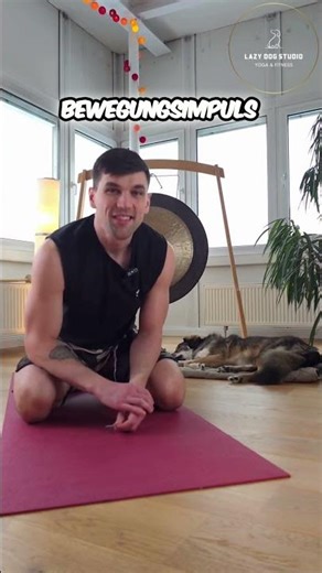 Täglicher Bewegungsimpuls: Push-ups für Anfänger | LazyDogDaily #14
