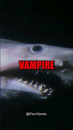 🦈🧛‍♂️ Goblin Shark: A Jaw-Dropping Predator of the Deep! #goblinshark #DeepSeaPredator